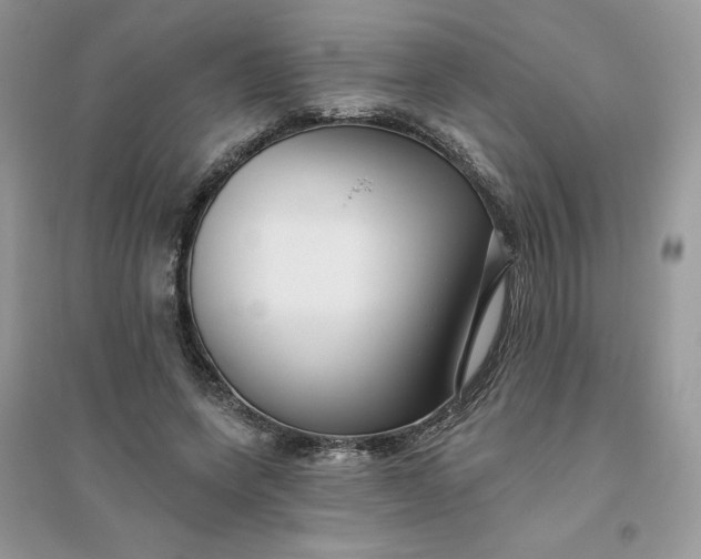 X0000096130543200802011150