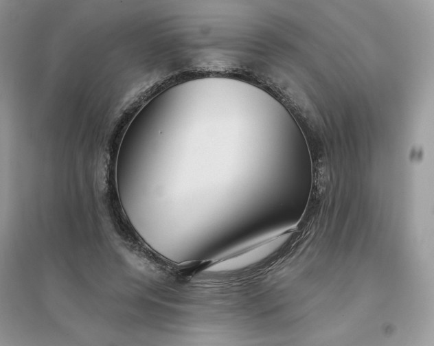 X0000096130544200802011150