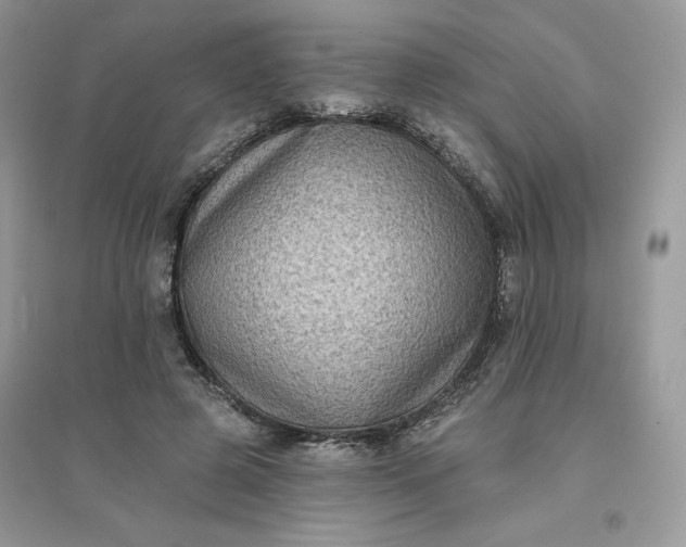 X0000096130545200802011150