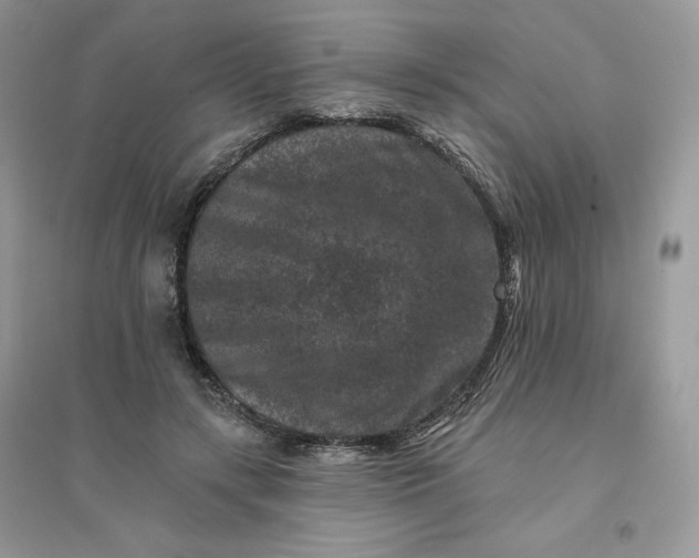 X0000096130547200802011150