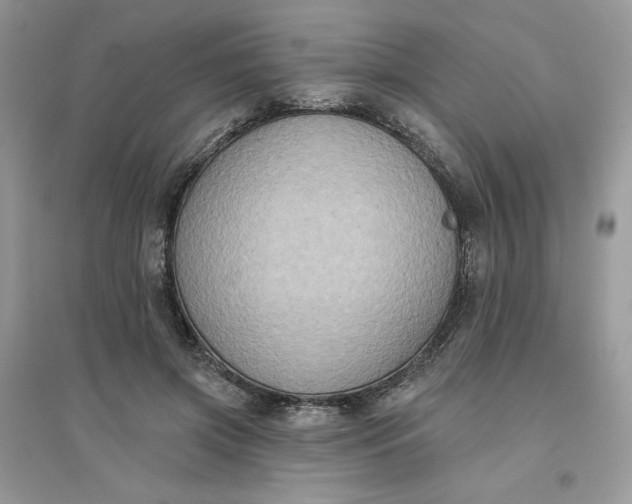 X0000096130549200802011150