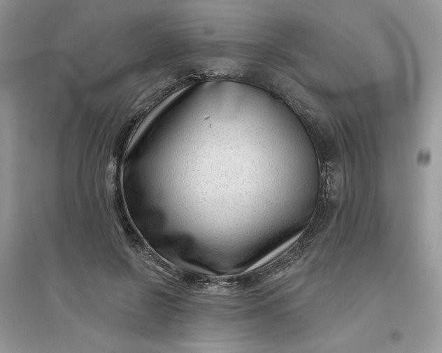X0000096130550200802011150