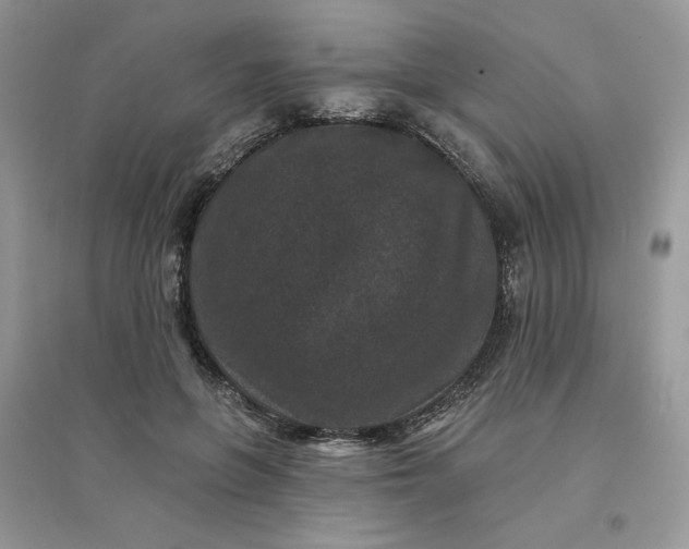 X0000096130551200802011150