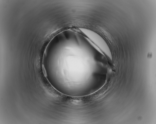 X0000096130552200802011150