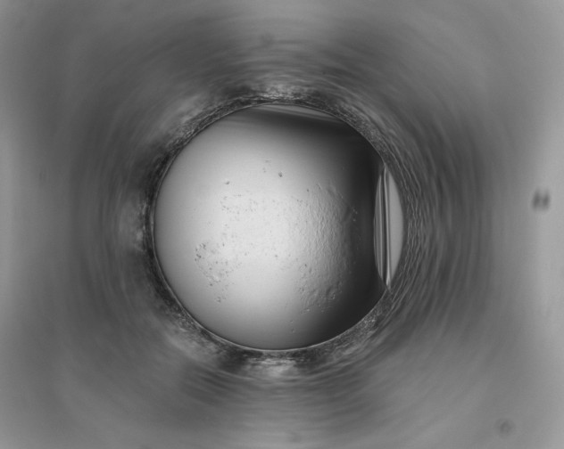 X0000096130554200802011150