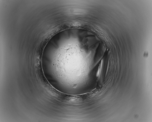 X0000096130555200802011150