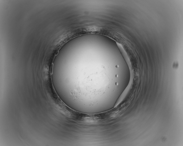 X0000096130556200802011150