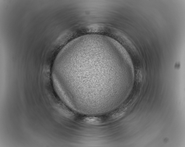 X0000096130557200802011151