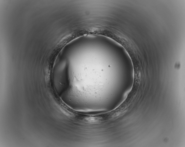 X0000096130558200802011151