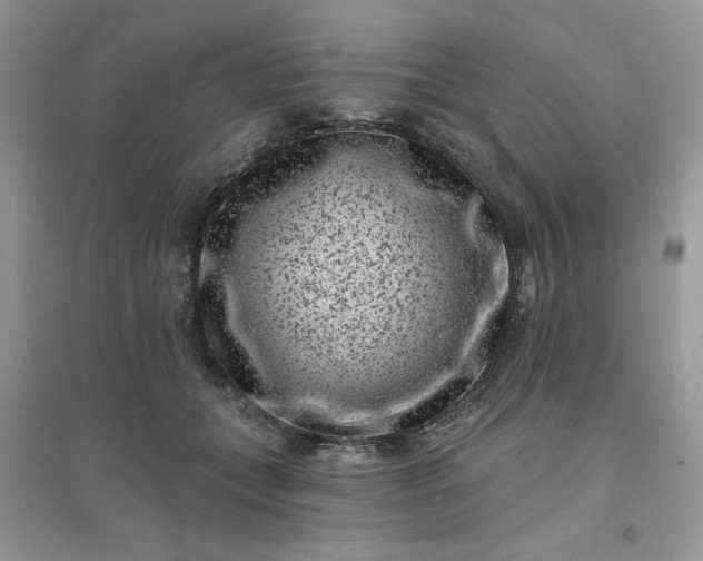 X0000096130559200802011151