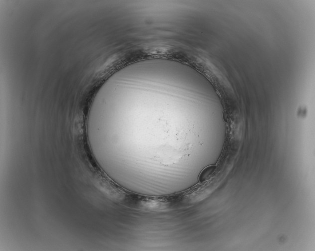 X0000096130561200802011151