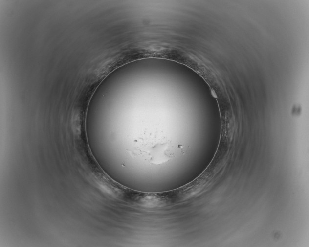 X0000096130562200802011151
