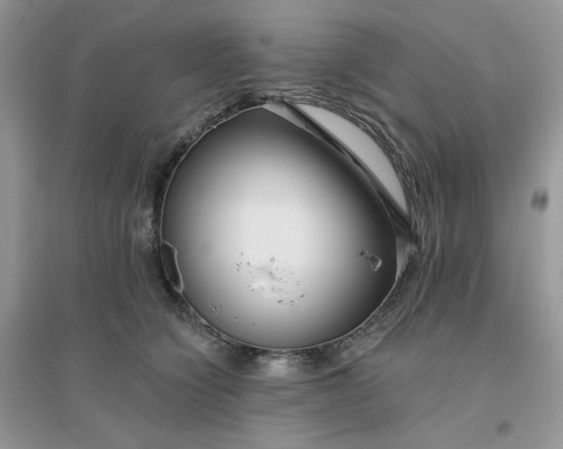 X0000096130564200802011151