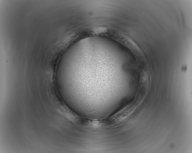 X0000096130565200802011151