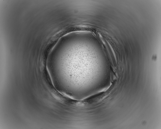 X0000096130566200802011151