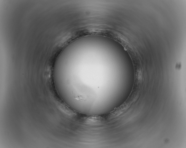 X0000096130567200802011151