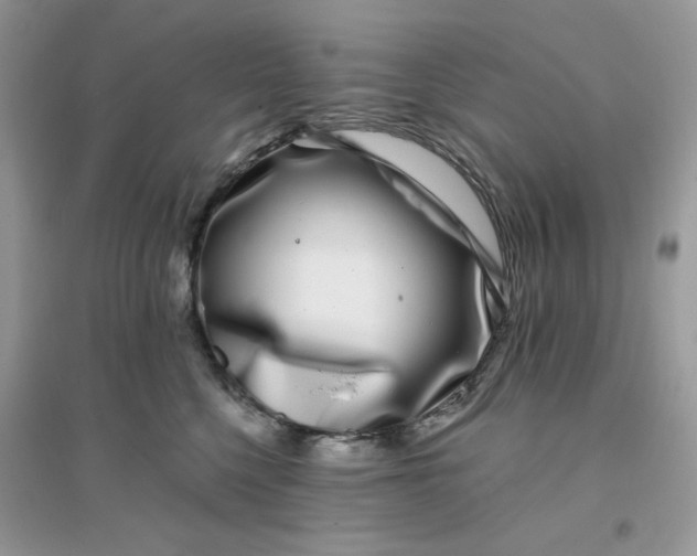 X0000096130568200802011151