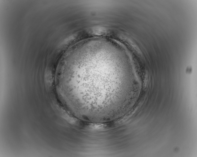 X0000096130569200802011151