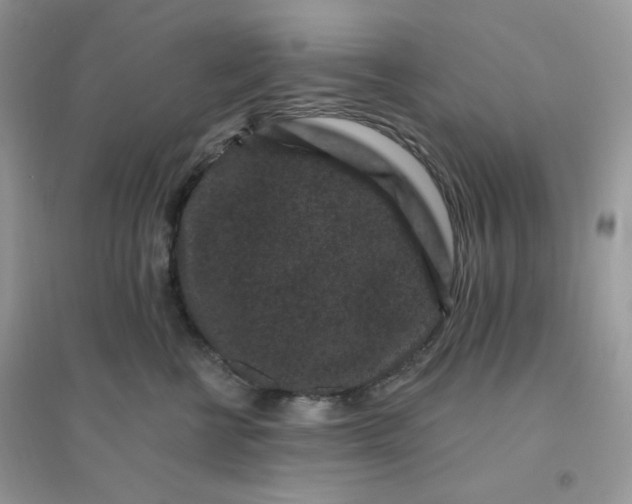 X0000096130570200802011151
