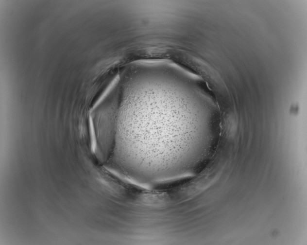 X0000096130571200802011151