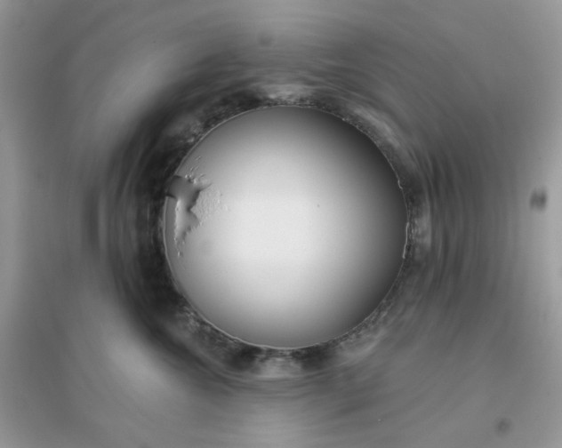 X0000096130572200802011151