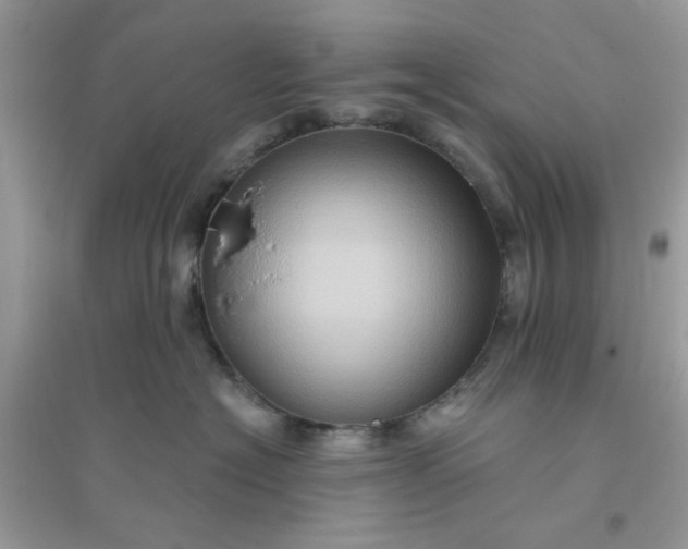 X0000096130574200802011151