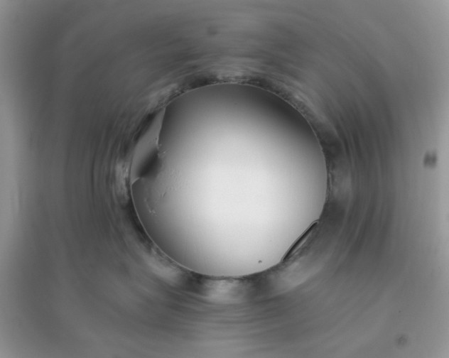 X0000096130575200802011151
