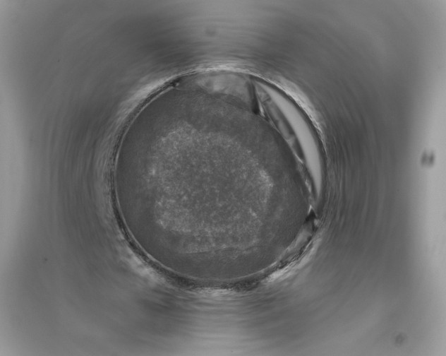 X0000096130577200802011150