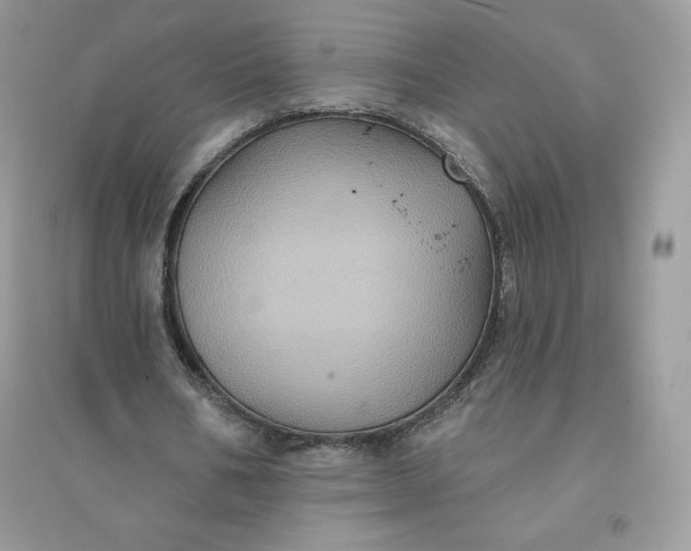 X0000096130578200802011150