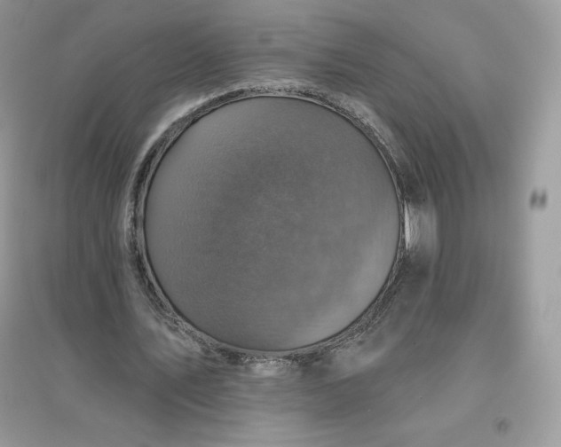 X0000096130579200802011150