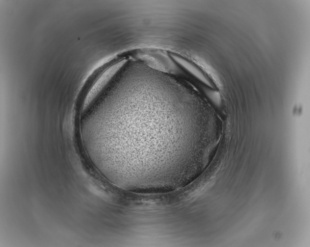 X0000096130580200802011150