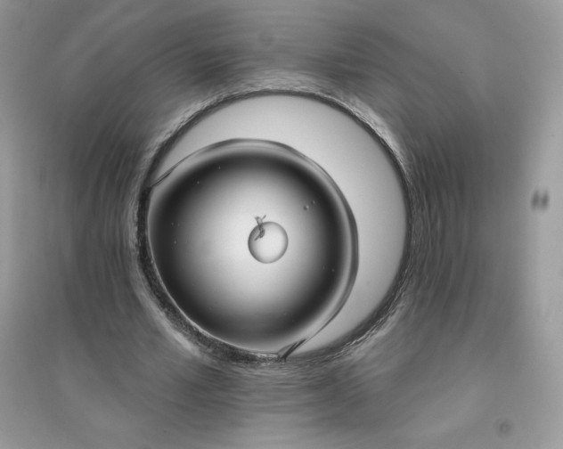 X0000096130581200802011150