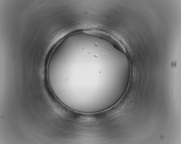 X0000096130582200802011150
