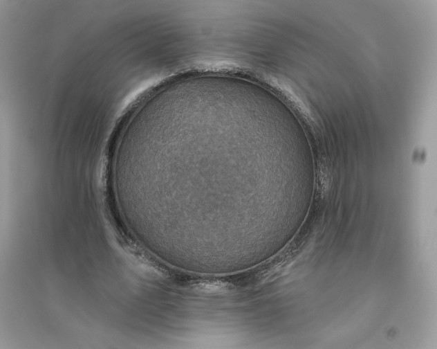 X0000096130583200802011150