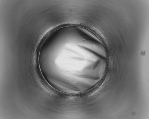 X0000096130584200802011150