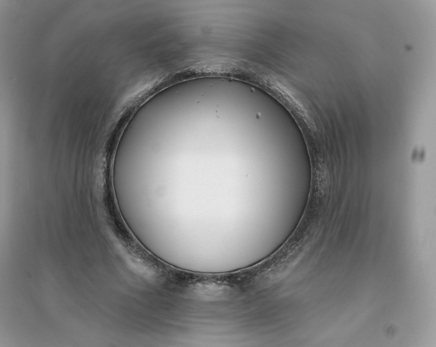 X0000096130586200802011150