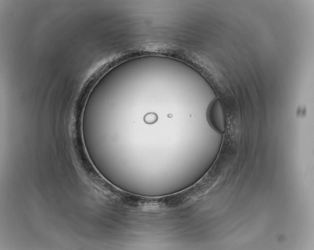 X0000096130587200802011150