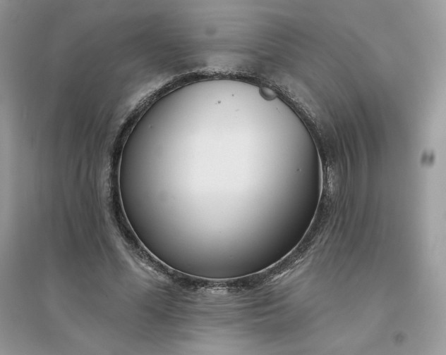 X0000096130588200802011150