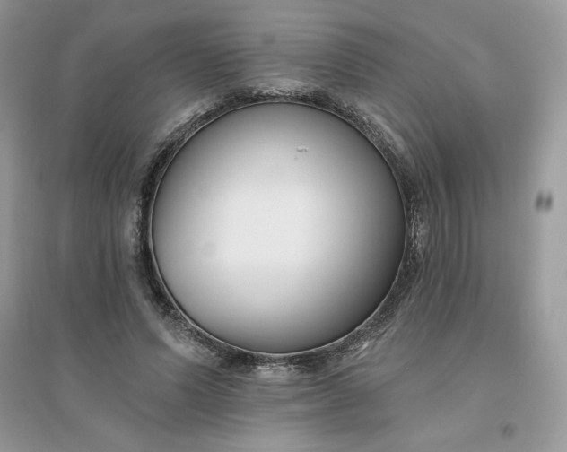 X0000096130591200802011150