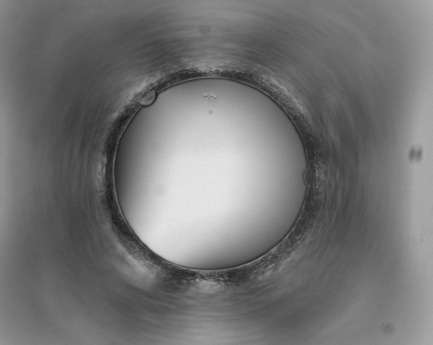 X0000096130592200802011150