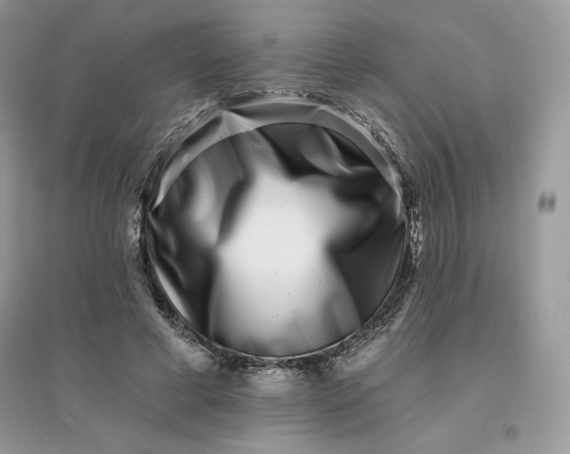 X0000096130593200802011150
