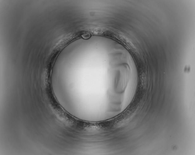 X0000096130594200802011150