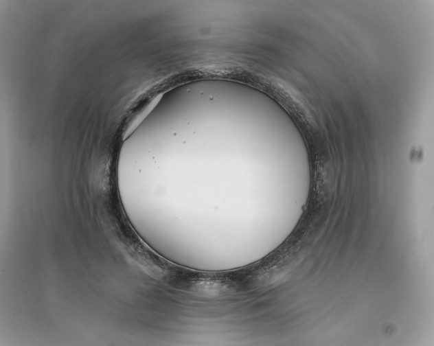 X0000096130596200802011150