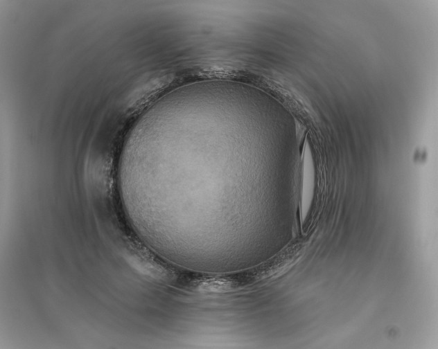 X0000096130599200802011150