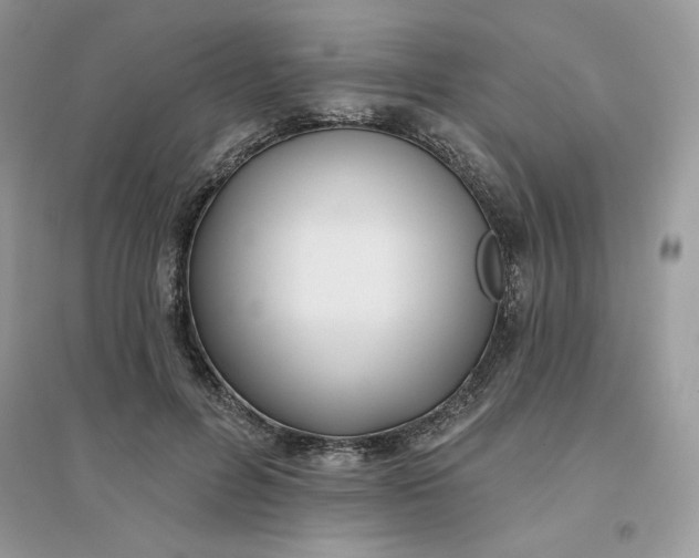 X0000096130600200802011150