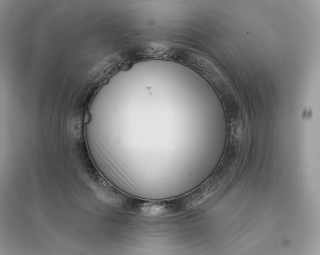 X0000096130602200802011150