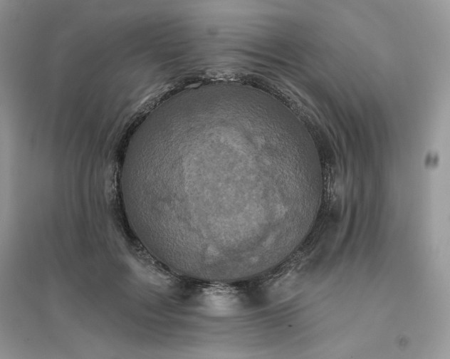 X0000096130603200802011150