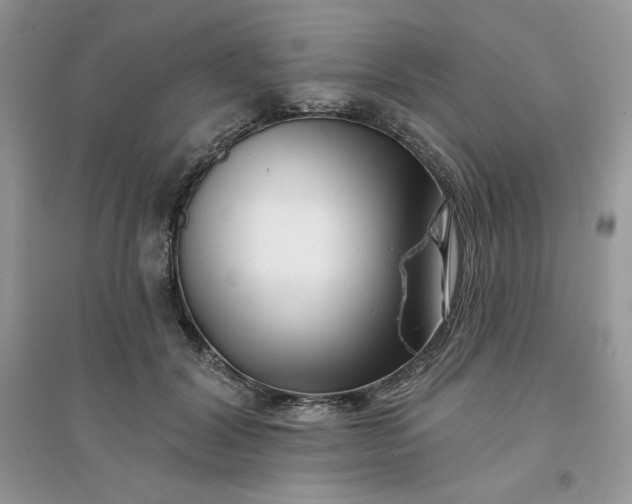 X0000096130604200802011150