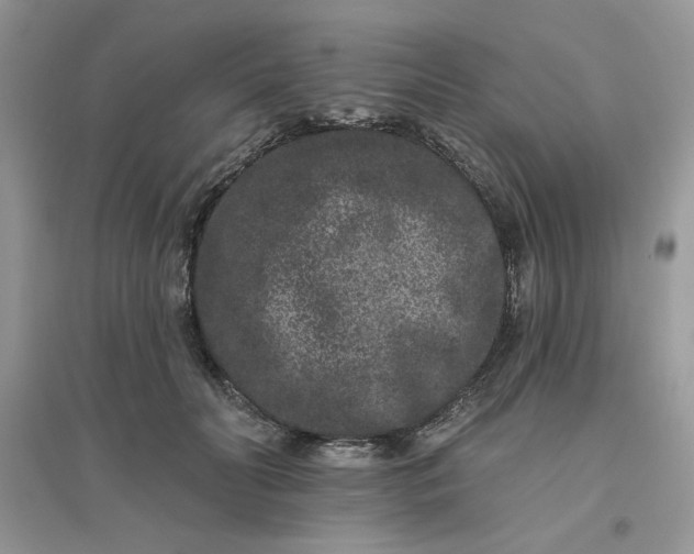 X0000096130606200802011150