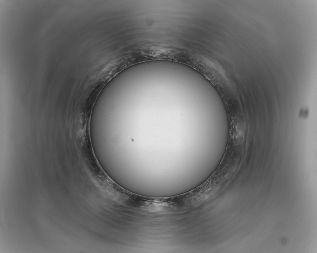 X0000096130607200802011150